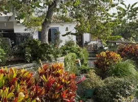 Casa das Flores Garden
