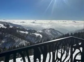 Vila Golija StudiovetKop