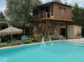 Tuz Treehouse