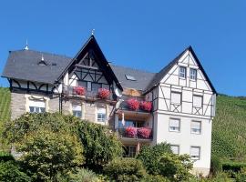 Ferienwohnungen Zum Niederberg mit Balkon und Moselblick, hotel in Lieser