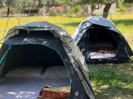 Waveside Camping