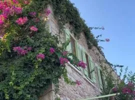 Just Datça