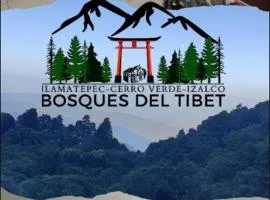 Bosques del Tibet
