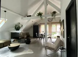 Appartement atypique lumineux