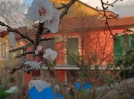 Domus amica
