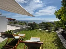 Olive tree villa