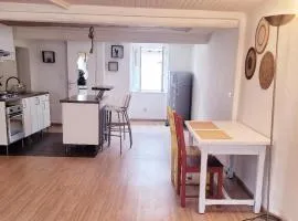 MIA CASA Charmant T2 cosy au cœur de Vienne-2 à 4 voyageurs