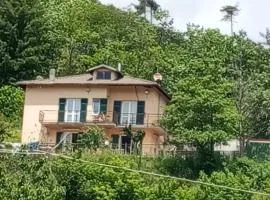FD Rooms Relax Nel Verde