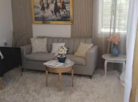 Apartamento en la Barranquita Santiago de los Caballeros