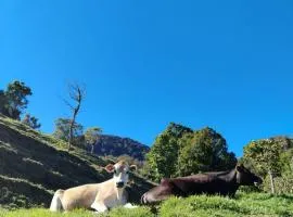 Habitación en Finca Quesera Pedregoso cena y desayuno incluido