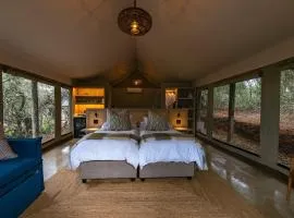Addo Elephant Safari Lodge - Bellevue Forest Reserve