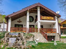 Carpatia Retezat, hotel din Clopotiva