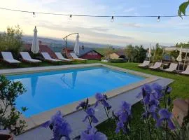 Domus Langhe B&B