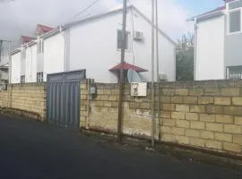 Üçevlər