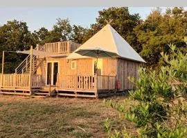 Camping des petites plumes