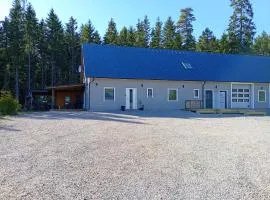Ferienwohnung 2 Lakeland Åäng 6 Vislanda