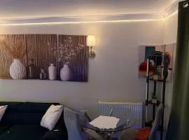 Modern double bed room