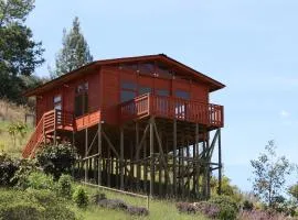 Cabañas en Carmen de Carupa - MunayKi
