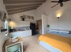 Private comfortable studio "Conchi" in Kamay Palm Beach Aruba