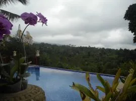 Artala Villas Besakih