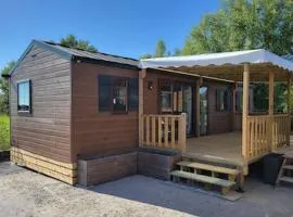 Mobil-home climatisé, animaux admis - 6 pers. - API-1-52-2794