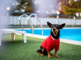 Chuncheon Happysday Pet-Friendly Pension