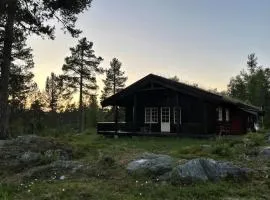 Cabin With Rauland Mountain Views