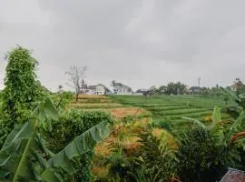 Ricefield View 2 BR villa near Canggu