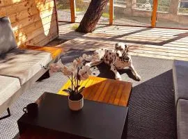 Fantastic new lodge with ocean view