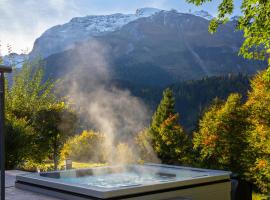 Hotel Waldegg - Adults only, hotel em Engelberg