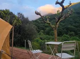 Nova Forest Montseny