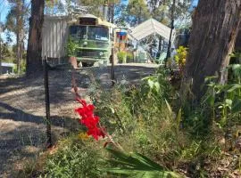 Banksia Bus