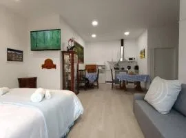 Apart Onak 4 - 1cama y sofa cama - parking gratis