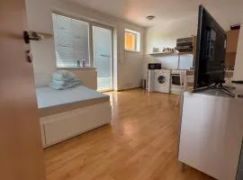 Royal Falcon Apartment Hradec