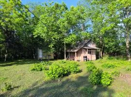Lemon Tree Camp