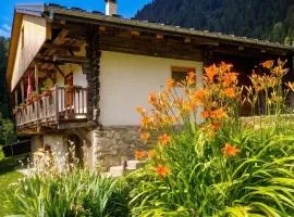 Chambre d'hôte dans Chalet d'Alpage