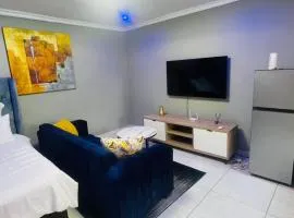 Luxury Executive Apartment