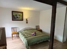 Delta 4 Nice apartment 2 big bed