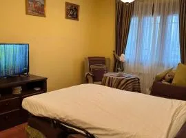 Comfort and tranquillity next to Toledo - Silera