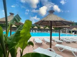 Chalet 4 étoiles - Piscine - ccbg00h