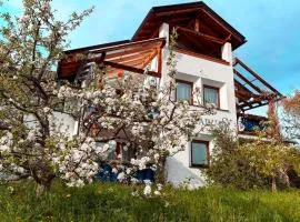 Haus Aquarius