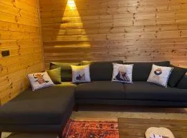 Doğa ile başbaşa dağ evi