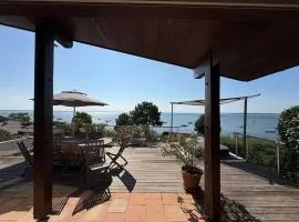 Grande villa avec jacuzzi à La Pointe aux Chevaux - FR-1-736-23
