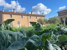 Agriturismo Le Spighe