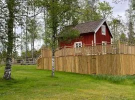 Stuga i skogen