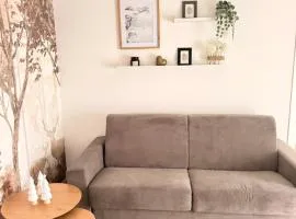 Novelli homes