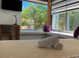 Le Petit Hotel Spa, hotel v destinaci Concepción