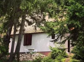 Black Lake House Dajovic