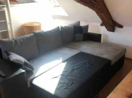 Attic apartment in heart of Obernai