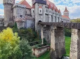 Urban Nest Hunedoara
